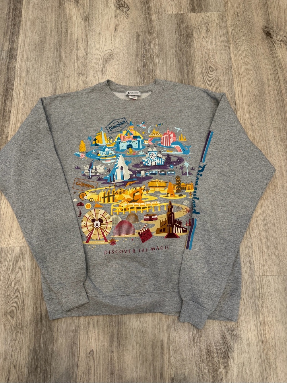 Disney Parks Medium Disneyland Discover the Magic Graphic Sweatshirt